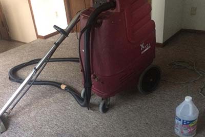 Carpet Cleaning
